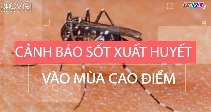 Lời cảnh báo: Mùa cao điểm của bệnh sốt xuất huyết và bệnh sốt vì bị mò đốt