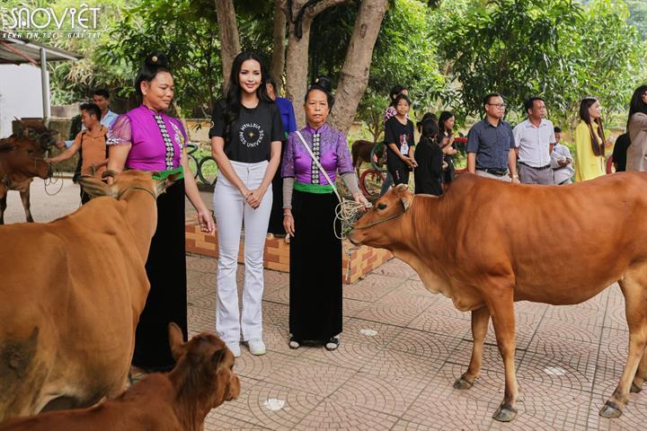 Ngọc Châu cùng Thuỷ Tiên, Diễm Trinh, Thanh Thanh làm thiện nguyện tại Sơn La