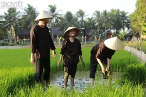 Đậu “chạy loạn” khi bị bố mẹ ép ăn rau trong Thử Thách Lớn Khôn