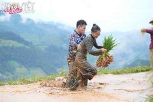 Dương Lâm tố Trường Giang chơi mạnh tay, Bích Phương te tua