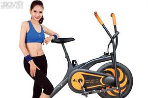 MOFIT đa dạng hóa sản phẩm dịch vụ, tập trung nhiều phân khúc ngách