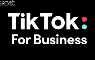 Nâng tầm hiệu quả của Câu chuyện Thương hiệu  với TikTok for Business